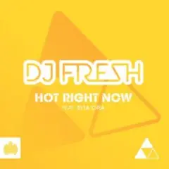 Hot Right Now (Extended Mix)