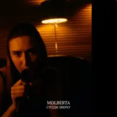 Сусіди зверху