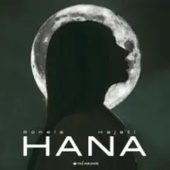 Обложка трека HANA