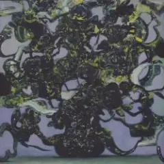 The Caretaker — Long Term Dusk Glimpses