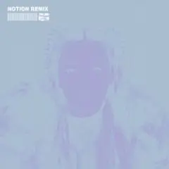 CHRYSTAL & NOTION — The Days (NOTION Remix)
