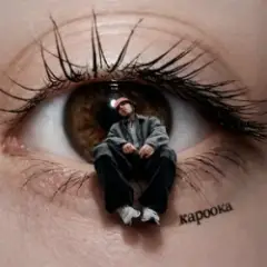 Кароока