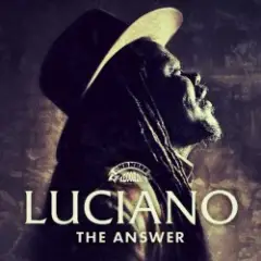 Luciano — Wicked Haffe Run Wey