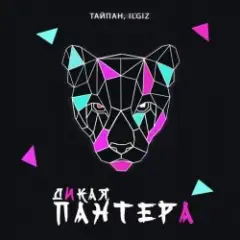 Дикая Пантера
