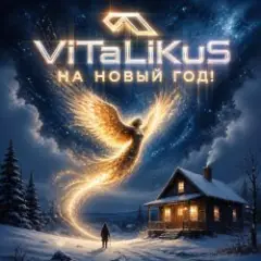 На Новый год!
