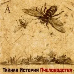 Обложка трека Никон