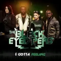 I gotta feeling (Laidback Luke remix)