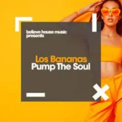 Обложка трека Pump The Soul
