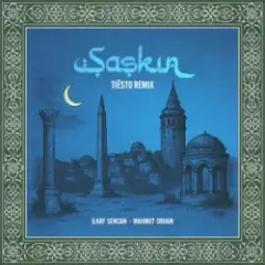 Şaşkın (Tiësto Remix)