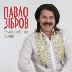 Білий Цвіт На Калині
