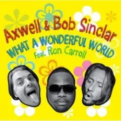 What a wonderful world (radio_edit)