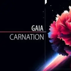 Gaia — Carnation