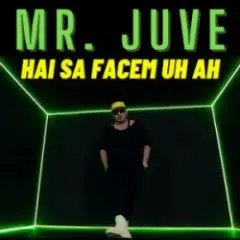 Обложка трека Hai Sa Facem Uh Ah