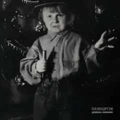 Паліндром — Дивна любов