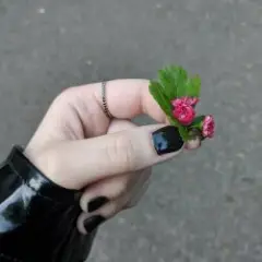 В огоньки