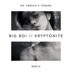 Обложка трека Kryptonite (Dr. Fresch x Tendra Remix)