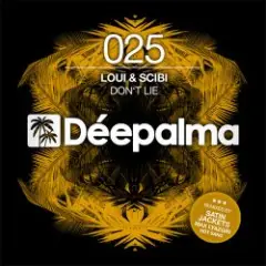 Обложка трека Don’t Lie (Satin Jackets Remix)