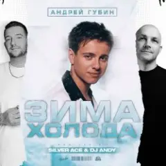 Андрей Губин — Зима-Холода (Jin Shi Remix)
