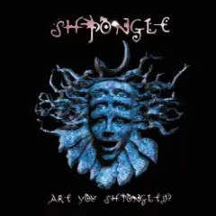 Обложка трека Shpongle Falls
