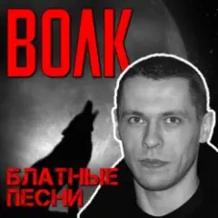 Стая