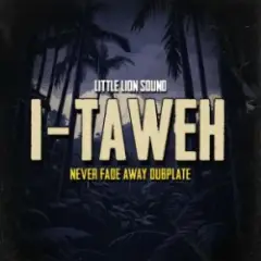 Обложка трека Never Fade Away Dubplate