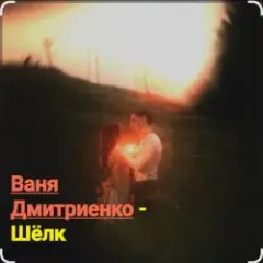 Обложка трека Шёлк