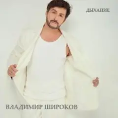 Владимир Широков — Ты перестанешь звонить