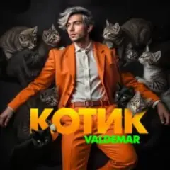 Обложка трека Котик