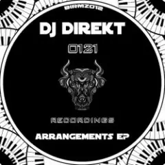 DJ Direkt — Arrangement