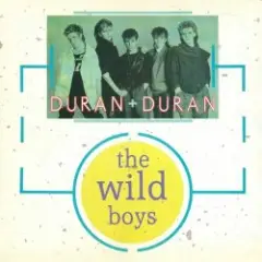 The Wild Boys