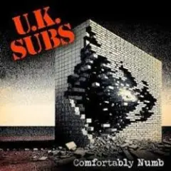 Обложка трека Comfortably Numb