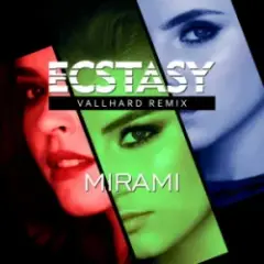 Обложка трека Ecstasy (Vallhard Remix) (English Version)