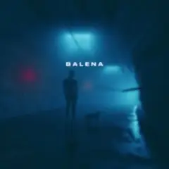 skyfall beats — balena