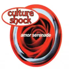 Обложка трека Amor Serenade (Original Mix)