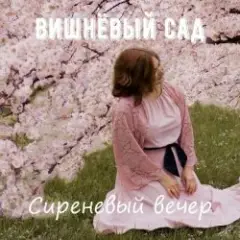 Обложка трека Дама в голубом