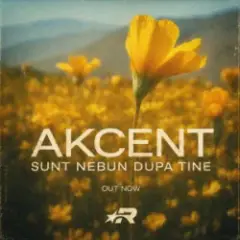Akcent — Sunt nebun dupa tine