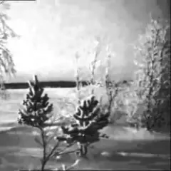 Обложка трека Песенка про зиму