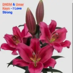 I Love Strong