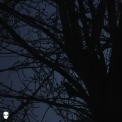 Обложка трека Dreamin