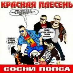 Частушки N W17