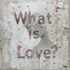 What Is Love (Serge Gri Tech ver cover)