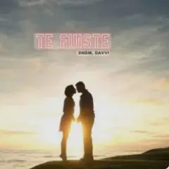 DNDM & Davvi — Te Fuiste