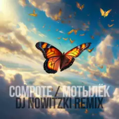 Обложка трека Мотылёк (DJ Nowitzki Remix)