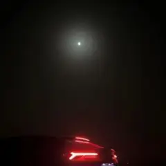 Ворона