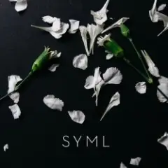 Обложка трека Meant to Stay Hid