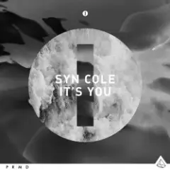Syn Cole — It's You (Original Mix)