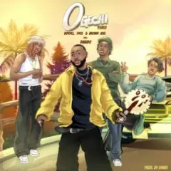 Ogechi (feat. Davido) Remix