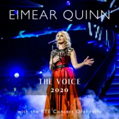 Обложка трека The Voice