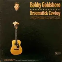 Обложка трека Broomstick Cowboy