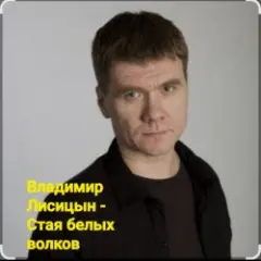 Владимир Лисицын — Стая белых волков